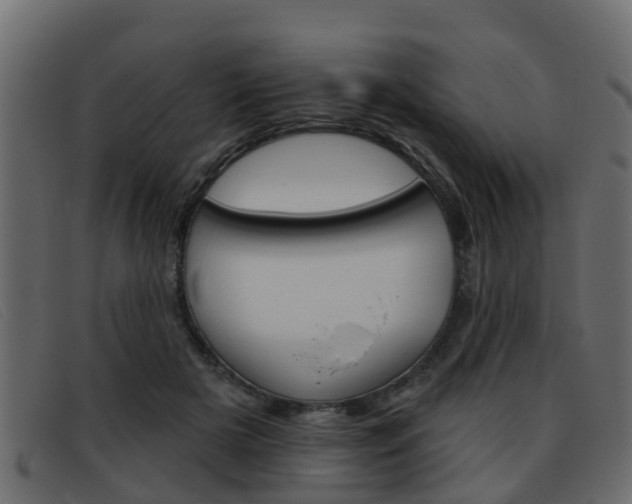 X0000093360505200710111311