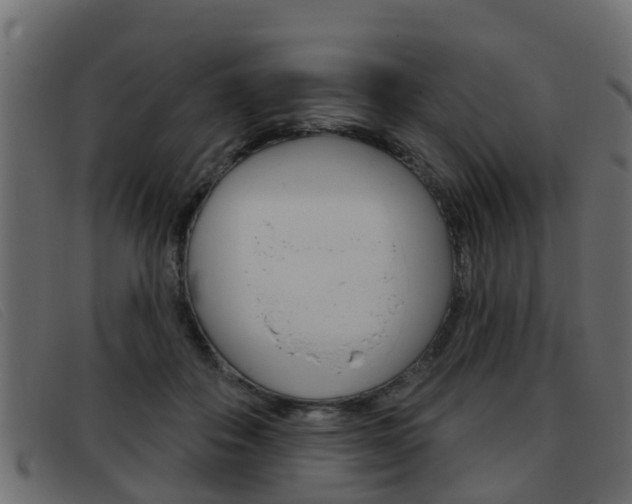 X0000093360506200710111311