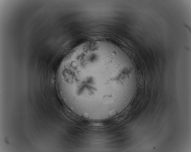 X0000093360507200710111311
