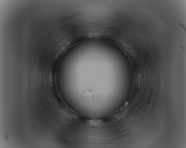 X0000093360508200710111311