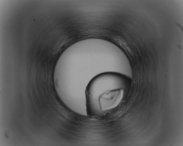 X0000093360509200710111311