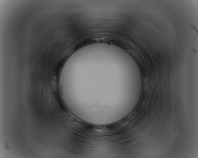 X0000093360510200710111311