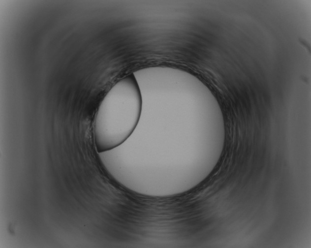 X0000093360511200710111311