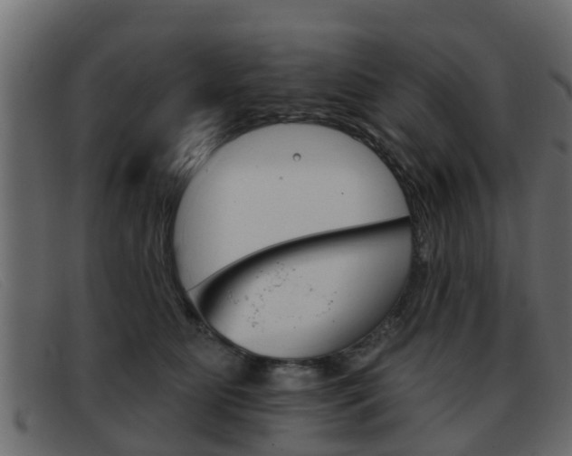 X0000093360515200710111311