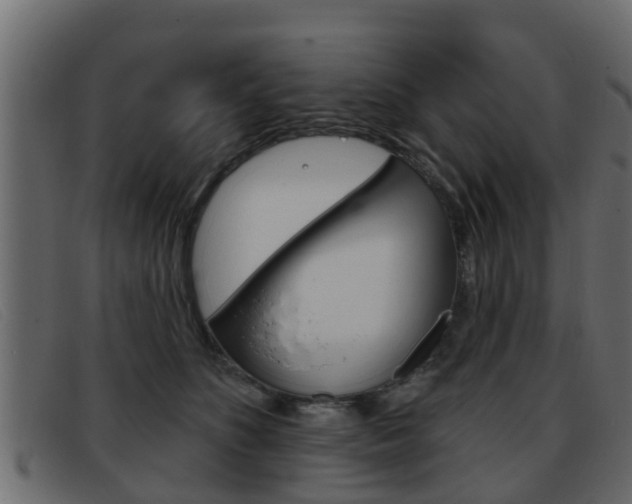 X0000093360516200710111311