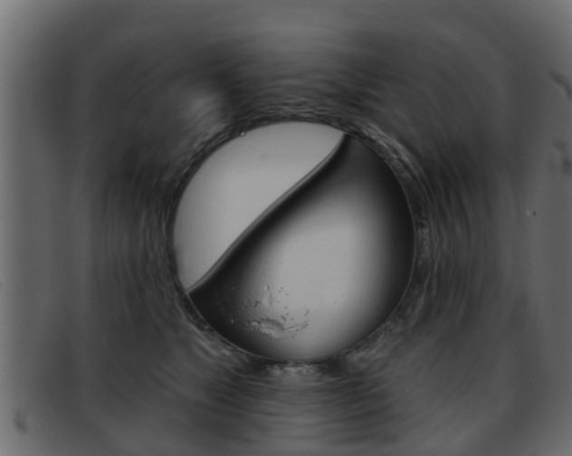 X0000093360517200710111311