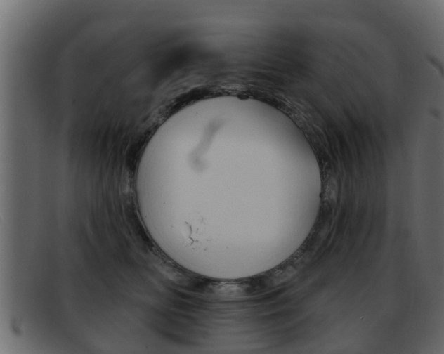 X0000093360518200710111311