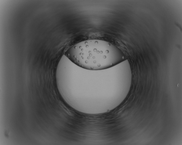 X0000093360519200710111311