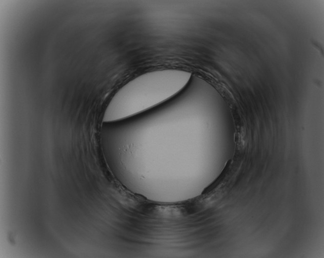 X0000093360520200710111311