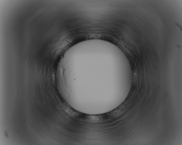 X0000093360522200710111311
