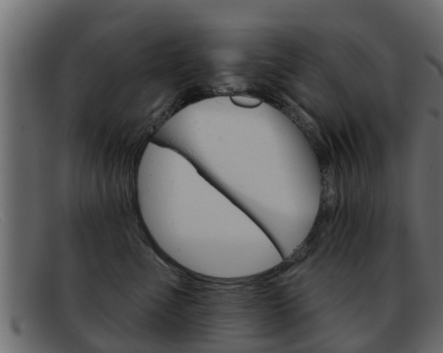 X0000093360523200710111311