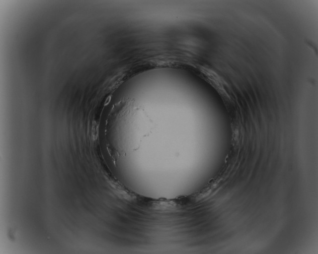X0000093360525200710111311