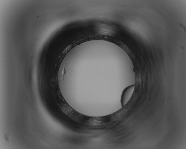 X0000093360526200710111311