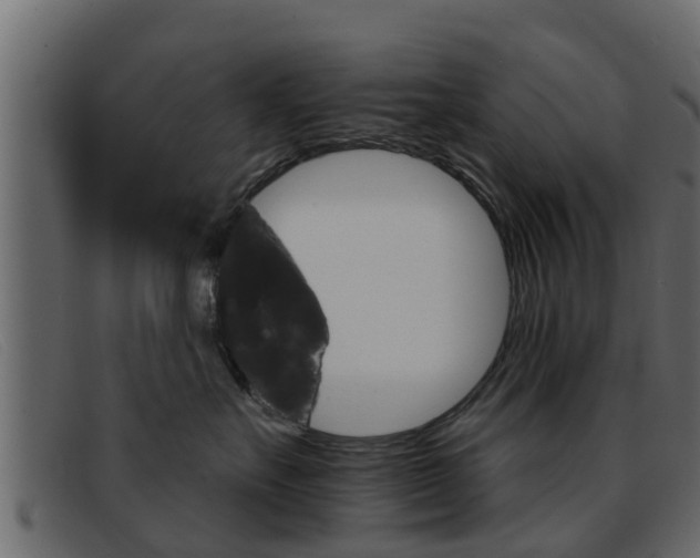 X0000093360527200710111311