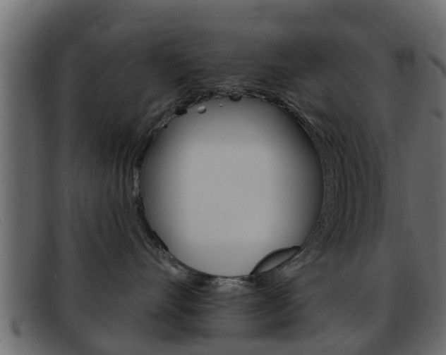 X0000093360528200710111311
