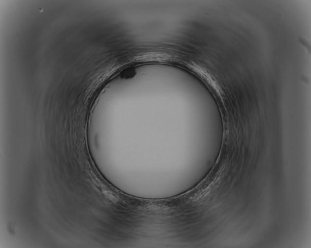 X0000093360529200710111310