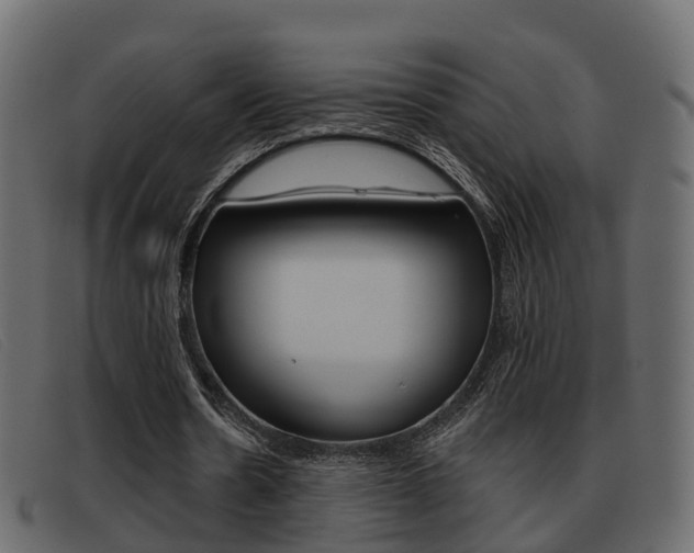 X0000093360530200710111310