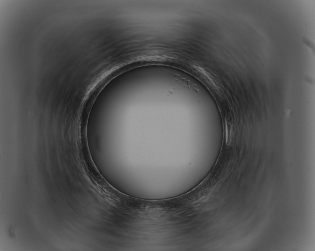X0000093360531200710111310