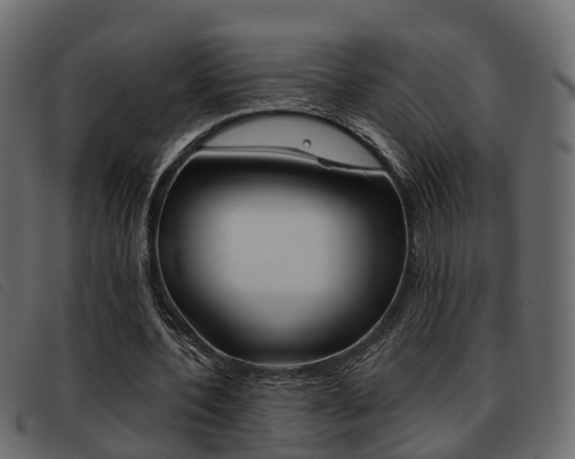 X0000093360532200710111310