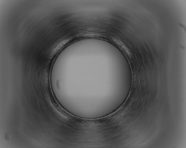 X0000093360533200710111310