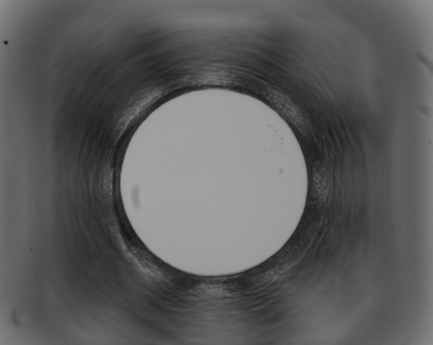 X0000093360534200710111310