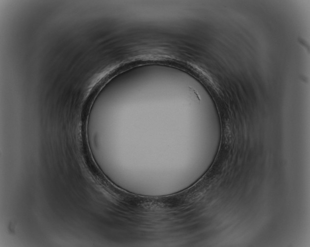 X0000093360535200710111310