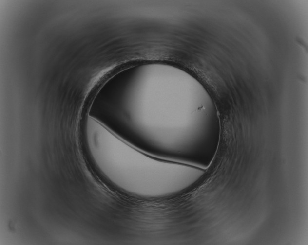 X0000093360536200710111310