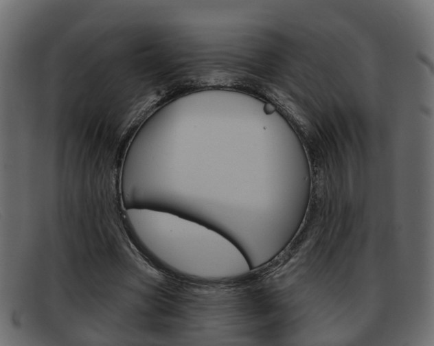 X0000093360537200710111310