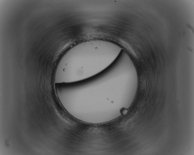 X0000093360538200710111310