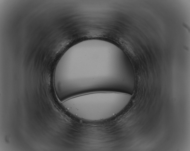 X0000093360539200710111310