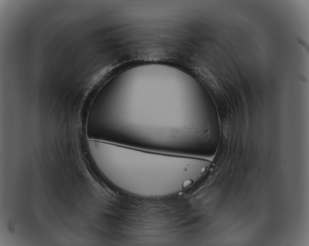 X0000093360540200710111310