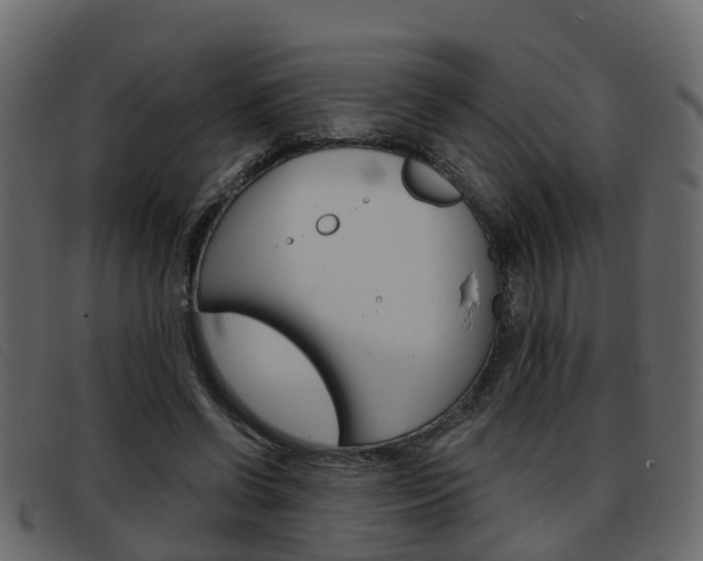 X0000093360542200710111310