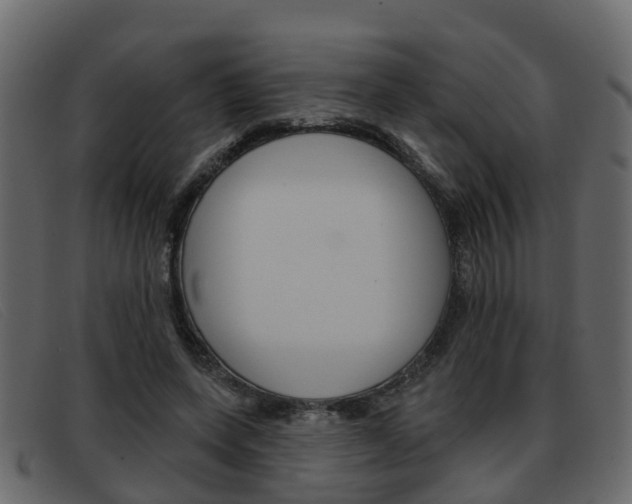 X0000093360543200710111310