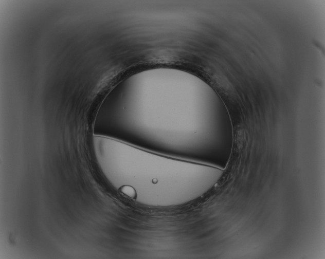 X0000093360544200710111310