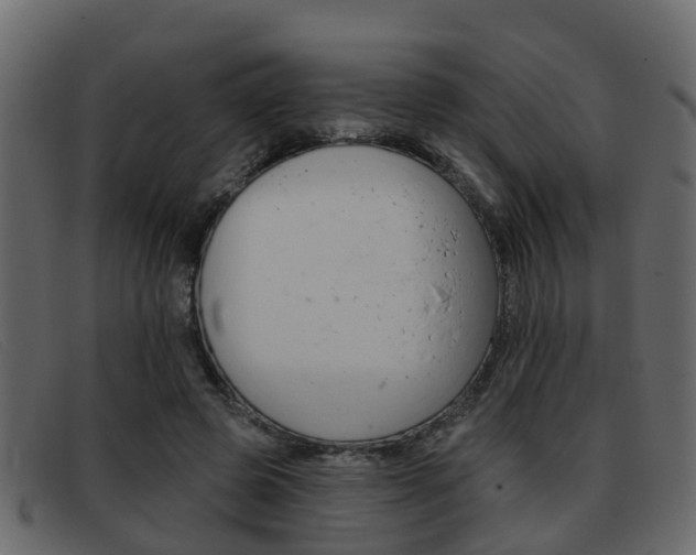 X0000093360545200710111310