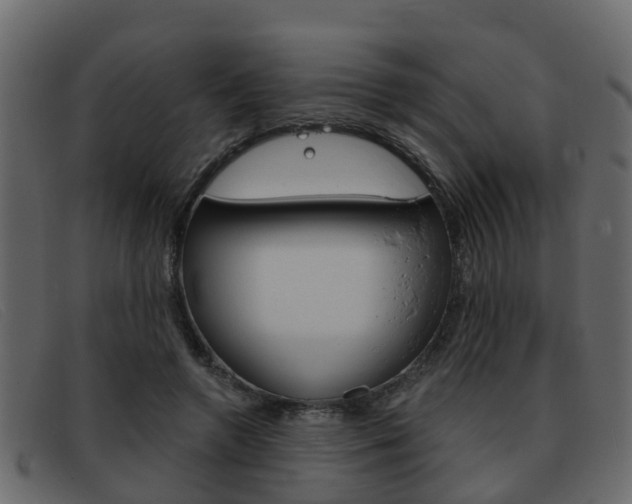 X0000093360546200710111310