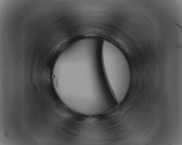 X0000093360547200710111310
