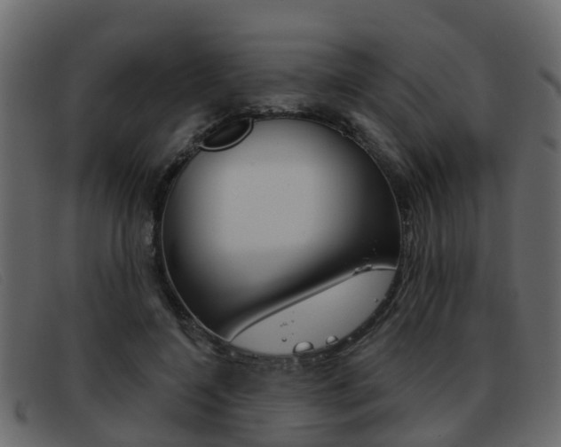 X0000093360548200710111310