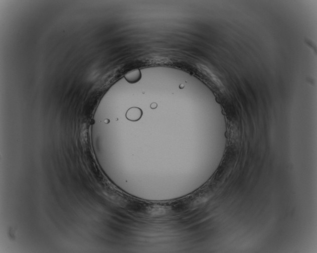 X0000093360549200710111310