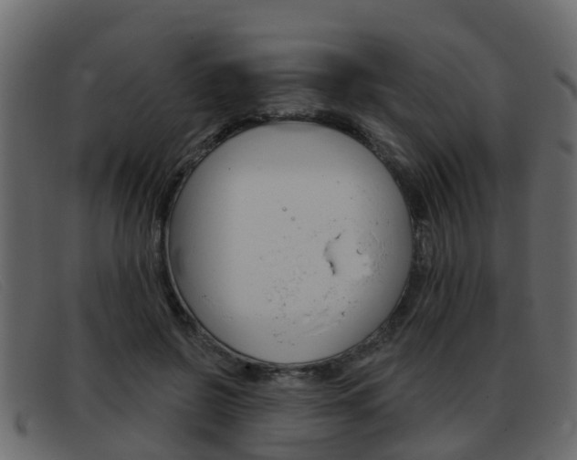 X0000093360550200710111310