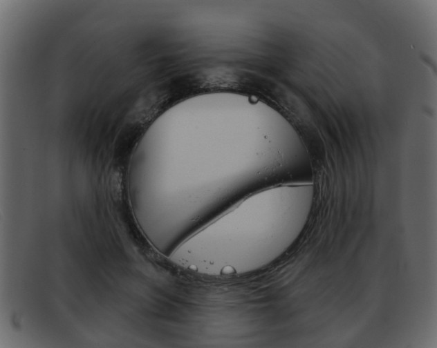 X0000093360551200710111310