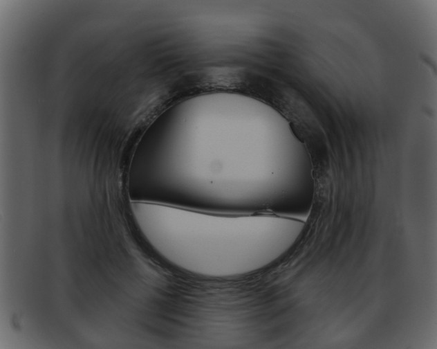 X0000093360552200710111310