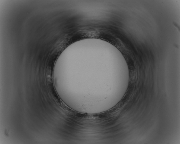 X0000093360553200710111310