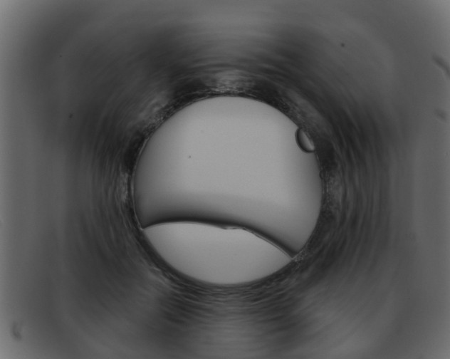 X0000093360554200710111310