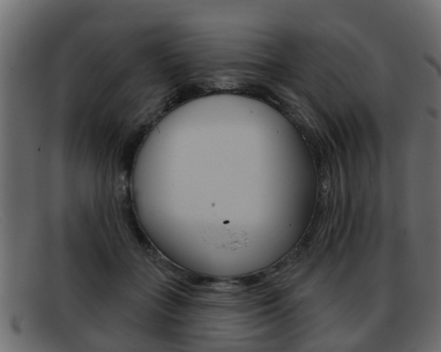 X0000093360555200710111310