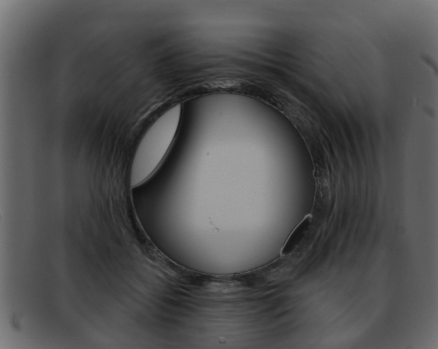 X0000093360556200710111310