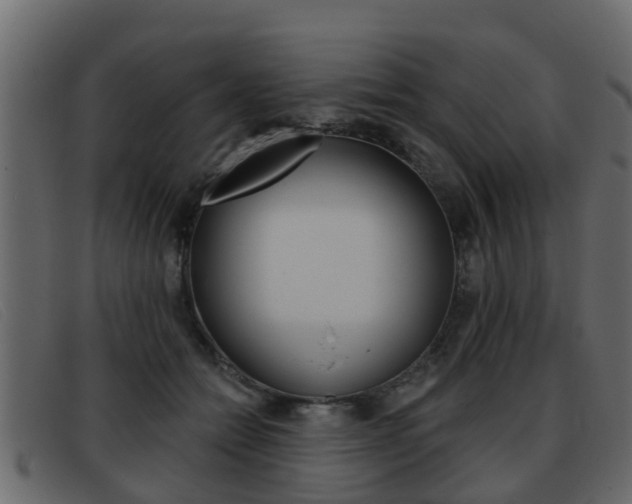 X0000093360558200710111310