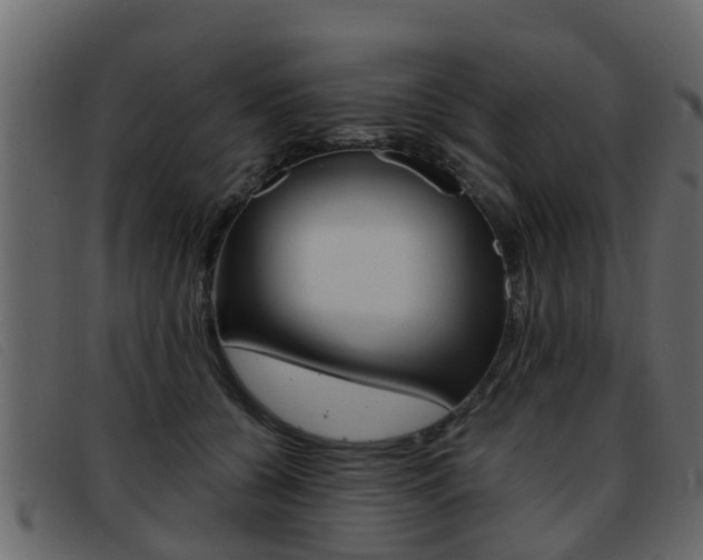 X0000093360560200710111310