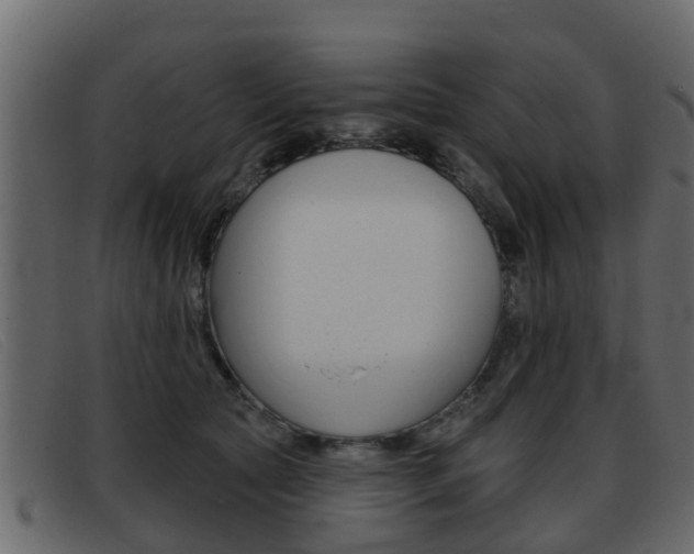 X0000093360561200710111310