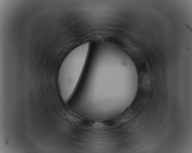X0000093360562200710111310